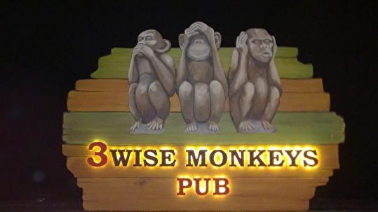 3wisemonkeys