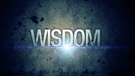 The Energizer - Wisdom (DEMO) - RE-Upload 19-07-2015