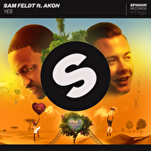 Nederlands dj Sam Feldt brengt single uit met Amerikaans artiest AKON