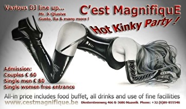 Kinky Party