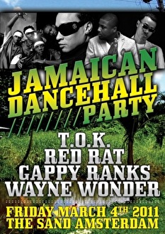 Jamaican dancehall party