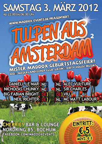 Tulpen Aus Amsterdam