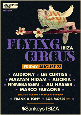 Flying Circus