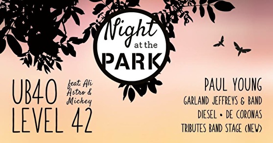 Night at the Park