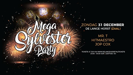 Mega Sylvester Party