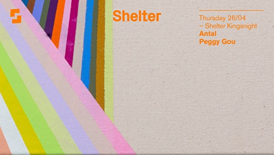 Shelter