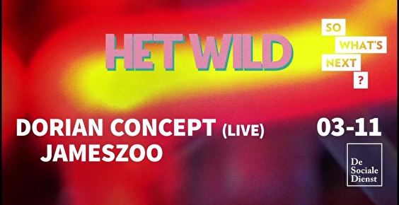 Het Wild × So What's Next