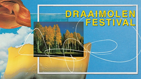 Draaimolen Festival