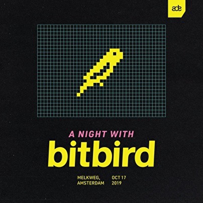 A Night With bitbird