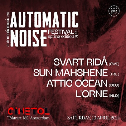 Automatic Noise Festival