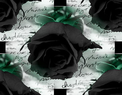 Profielafbeelding · Dark Rose