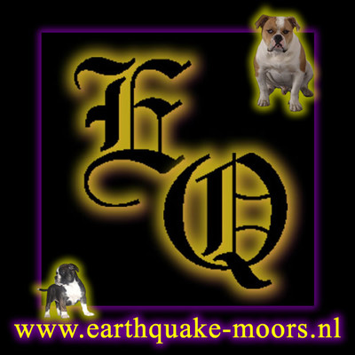Profielafbeelding · www.earthquake-moors.nl