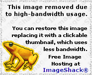 [img cacheid=0000000c001e752b91bd3bf51e00042102]http://img294.imageshack.us/img294/130/hakkuh21ks.gif[/img]