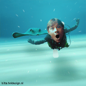 [img width=280 height=280 cacheid=0000005c000000bd2610f6f41a019e21fa]http://images.flabber.nl/beta191.gif[/img]