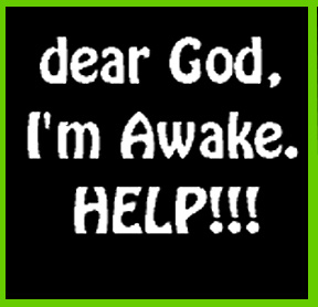 [img width=288 height=278 cacheid=00003fa300007cb6b7ddd5fc1a02065fea]http://d21c.com/kiddlehopper/12stepgraphics/awake.jpg[/img]