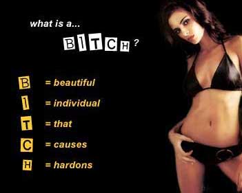 [img width=351 height=281 cacheid=00007ceb000245d514aa4e9b1e00072c35]http://www.veryfunnypics.com/pics/gender/images/bitch.jpg[/img]