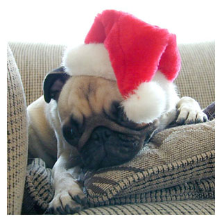 [img clear right width=250 cacheid=00009d0800012416e21331921000f637e7]http://www.angiemckaig.com/images/photos/merry/xmas2002.jpg[/img]