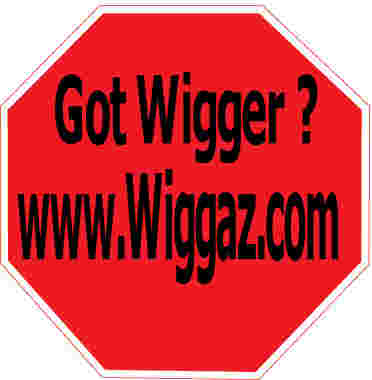[img cacheid=0000b2b90001a6b189f33a851a005acd20]http://www.wiggaz.com/photo/cover.jpg[/img]