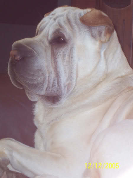 [img width=337 height=450 cacheid=0000b78700016c14521c978b10000985c7]http://i2.tinypic.com/talx6u.jpg[/img]