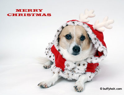 [img width=400 height=308 cacheid=0000be4000017ed75c52d3a31a021b8fdc]http://www.buffyholt.com/blog/wp-content/MerryChristmas.jpg[/img]