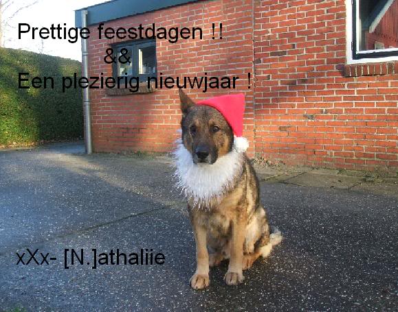 [img width=579 height=455 cacheid=0000c2bb00018a800e6bfdfe1001ee17d2]http://i279.photobucket.com/albums/kk141/Nathaliie00/kerstkaart.jpg[/img]