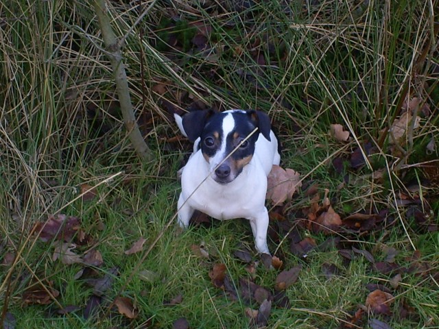 [img cacheid=0000cd9c0001a59ef824c4b01b001809e0]https://album.partyflock.nl/5762243.jpg[/img]