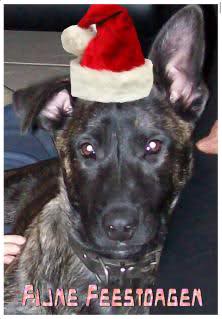 [img width=222 height=319 cacheid=0000d8a40001bf2d92bd124d100270d7b0]http://i46.tinypic.com/2pyyfec.jpg[/img]