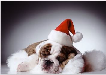 [img width=353 height=251 cacheid=0000e4ff0001de352c293b331000f69208]http://i55.photobucket.com/albums/g121/Simonefoto/Merryxmas.jpg[/img]