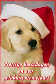 [img width=180 height=270 cacheid=0000e61e0001e10da701b22b10002bf2ff]http://www.kaartcentrum.nl/kaarten/2000kerstnieuwjaar2.jpg[/img]