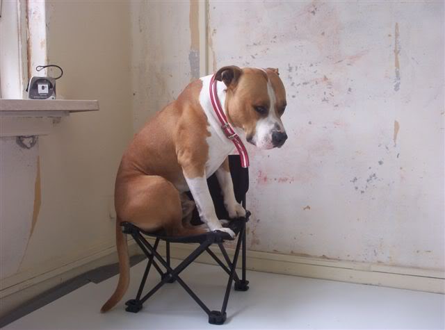 [img width=640 height=475 cacheid=0000f4bb000201aad8bb4ed11a01a0e064]http://img.photobucket.com/albums/v314/HeidiHamrit/Afbeelding056.jpg[/img]