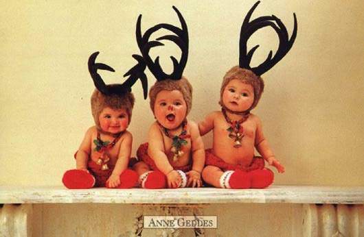 [img width=530 height=346 cacheid=0000ffc9000246c81030c94810002bbb93]http://www.arjenfun.com/kriebelfun/images15/031217k2.jpg[/img]