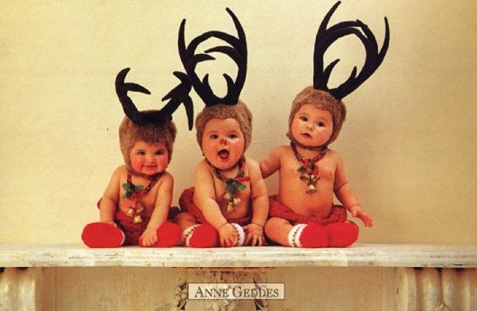 [img width=530 height=346 cacheid=0000ffd3000300bebd652de410002c05aa]http://www.andrea-schroeder.com/zibber/christmas/geddes72b.jpg[/img]