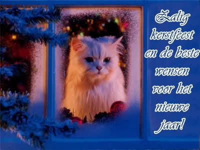 [img width=400 height=300 cacheid=0001028b0002227b10b8c1311000f9323c]http://i18.tinypic.com/87ly9ll.jpg[/img]