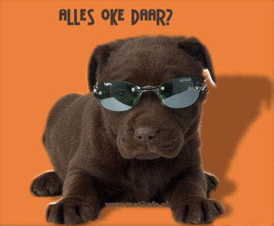 [img width=535 height=442 cacheid=00010fcd000244700d6f8d2f1000bbf9f2]http://www.metliefs.nl/vcards/images/pic_2007-08-02_123734.jpg[/img]