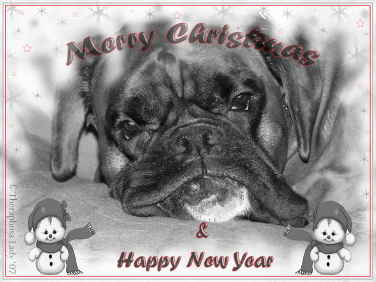 [img width=750 height=563 cacheid=000124d7000276c4e9ba2f4e1000ffe762]http://i32.photobucket.com/albums/d13/leblondi/Kerst.jpg[/img]