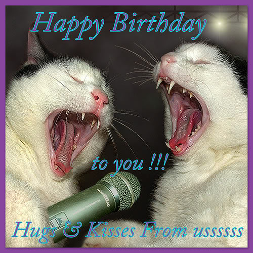 [img width=500 height=500 cacheid=00013cea0002b483590ea4df10028d3476]http://i364.photobucket.com/albums/oo82/kantoorpoes/978617474_5_6yPk.jpg[/img]