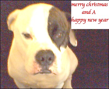 [img width=352 height=288 cacheid=00017404000410c80ffdd4b51000f55ce3]https://album.partyflock.nl/27243487.jpg[/img]