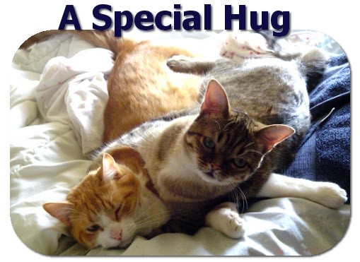 [img width=509 height=371 cacheid=0001c3fa0004119e1dfd29f4100057f8f6]https://album.partyflock.nl/8258391.jpg[/img]