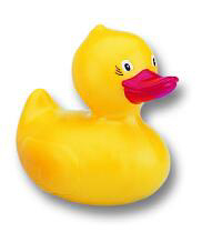 [img cacheid=0001dbd500044fe90da1b4c91b001fb65d]http://www.kidsroom.de/files/Bild2/954540.jpg[/img]