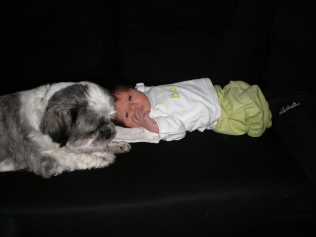 [img width=640 height=480 cacheid=00028d7d0005faefa1deded01a027ef3ca]https://album.partyflock.nl/65450696.jpg[/img]