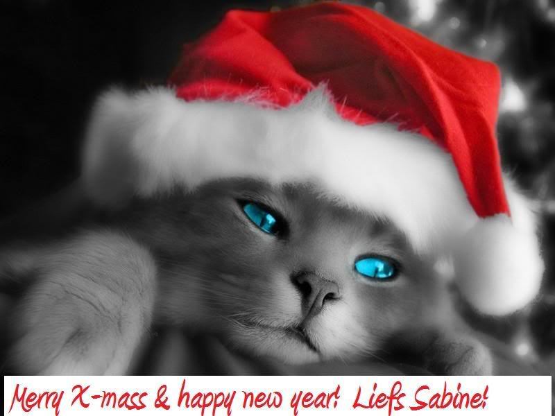 [img width=800 height=600 cacheid=0002dfda0006c010b142fc721001022f78]http://i192.photobucket.com/albums/z82/sw1vkl/Christmas_Cat-2-1.jpg[/img]