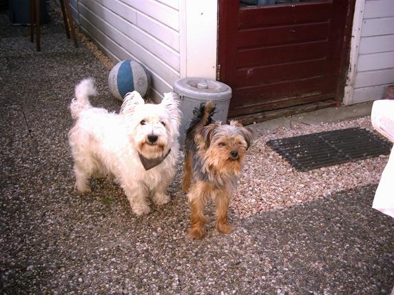 [img cacheid=0003dabd00097a03e7f8364a1b0014f409]http://img346.imageshack.us/img346/1/img13zy3.jpg[/img]