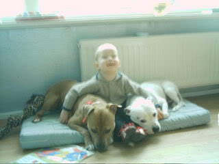 [img width=320 height=240 cacheid=0003dd7700098201d28df3651a01c4f05a]http://i16.photobucket.com/albums/b43/hchooli2/patrickjemetdoggies002.jpg[/img]