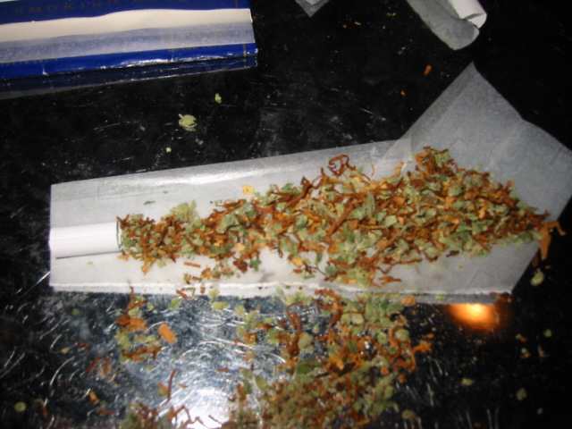 [img cacheid=0003dfe60009898d35c3f83a1a000ff979]http://members.lycos.nl/jetsetmember/hpbimg/111-1183_IMG.JPG[/img]