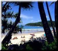 [img cacheid=0003f8df0009d22eacb07db01a00121301]http://www.koalanet.com.au/images/2-7.jpg[/img]