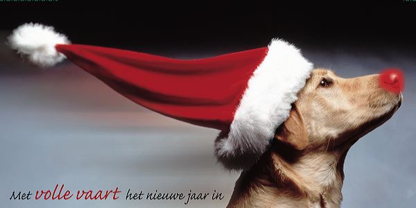 [img width=600 height=300 cacheid=00040dfd0001e3420285593b10002ed10a]http://kalender.mercurius.com/kk2006/image/36979.jpg[/img]