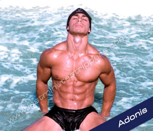 [img cacheid=00048ef3000b7986f2e3fdcc1b0027fdfe]http://www.lastminutestrippers.com/img/homePagePic.jpg[/img]