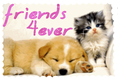 [img width=400 height=272 cacheid=0004dec5000c56d6ac75c72910006c7302]http://i9.photobucket.com/albums/a82/gotyn91/friends_4ever.gif[/img]