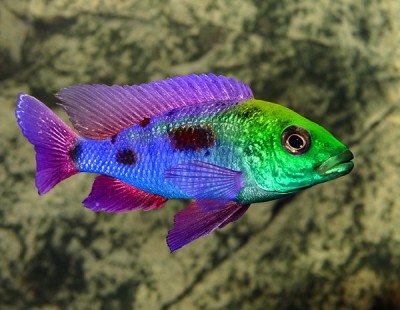 [img cacheid=0004e072000c5d24ca75d99a10004ef6d3]https://partyflock.nl/images/user/111892_large.jpg[/img]