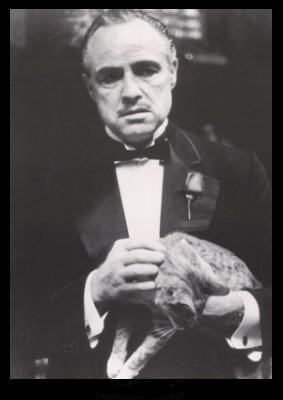 [img cacheid=000744630013a3fe9dba861e1a006b369c]https://partyflock.nl/images/user/USERID/111818/SIZE/large.jpg[/img]